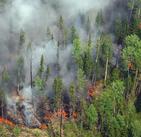 На Ямале тушат почти 30 природных пожаров
