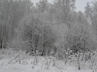 Уральская Зима в феврале